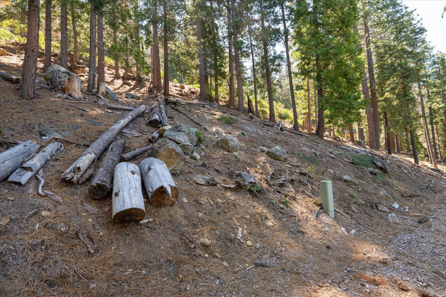 7477 Yosemite Park Way, Yosemite West, CA 95389