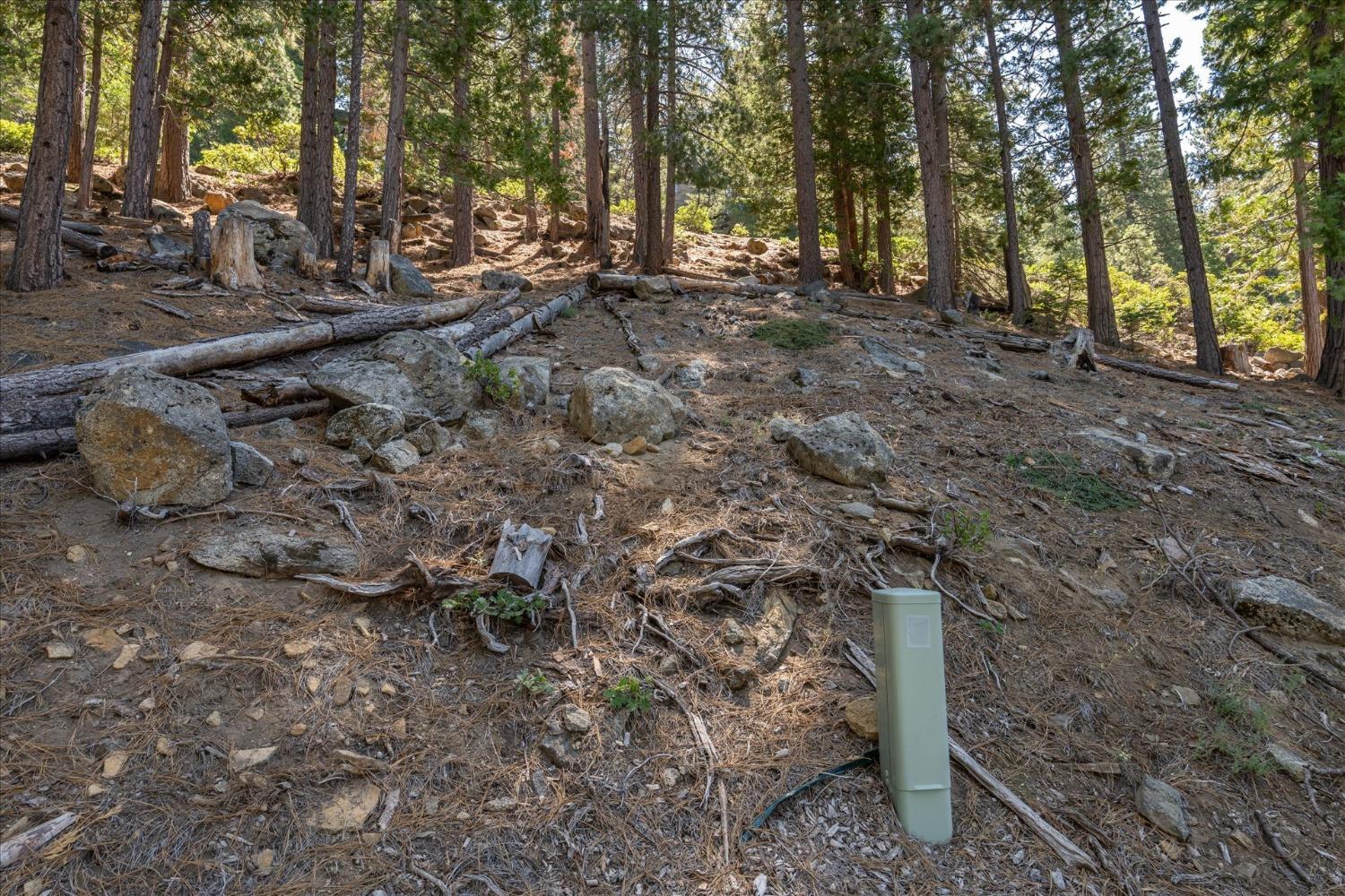 7477 Yosemite Park Way, Yosemite West, CA 95389