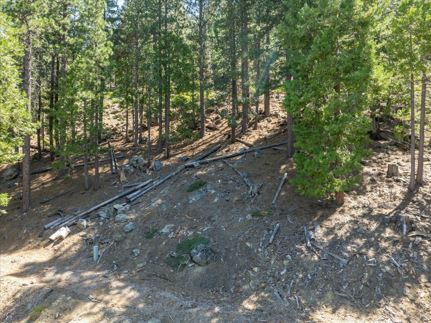 7477 Yosemite Park Way, Yosemite West, CA 95389