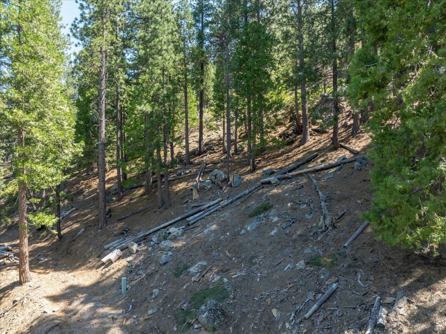 7477 Yosemite Park Way, Yosemite West, CA 95389