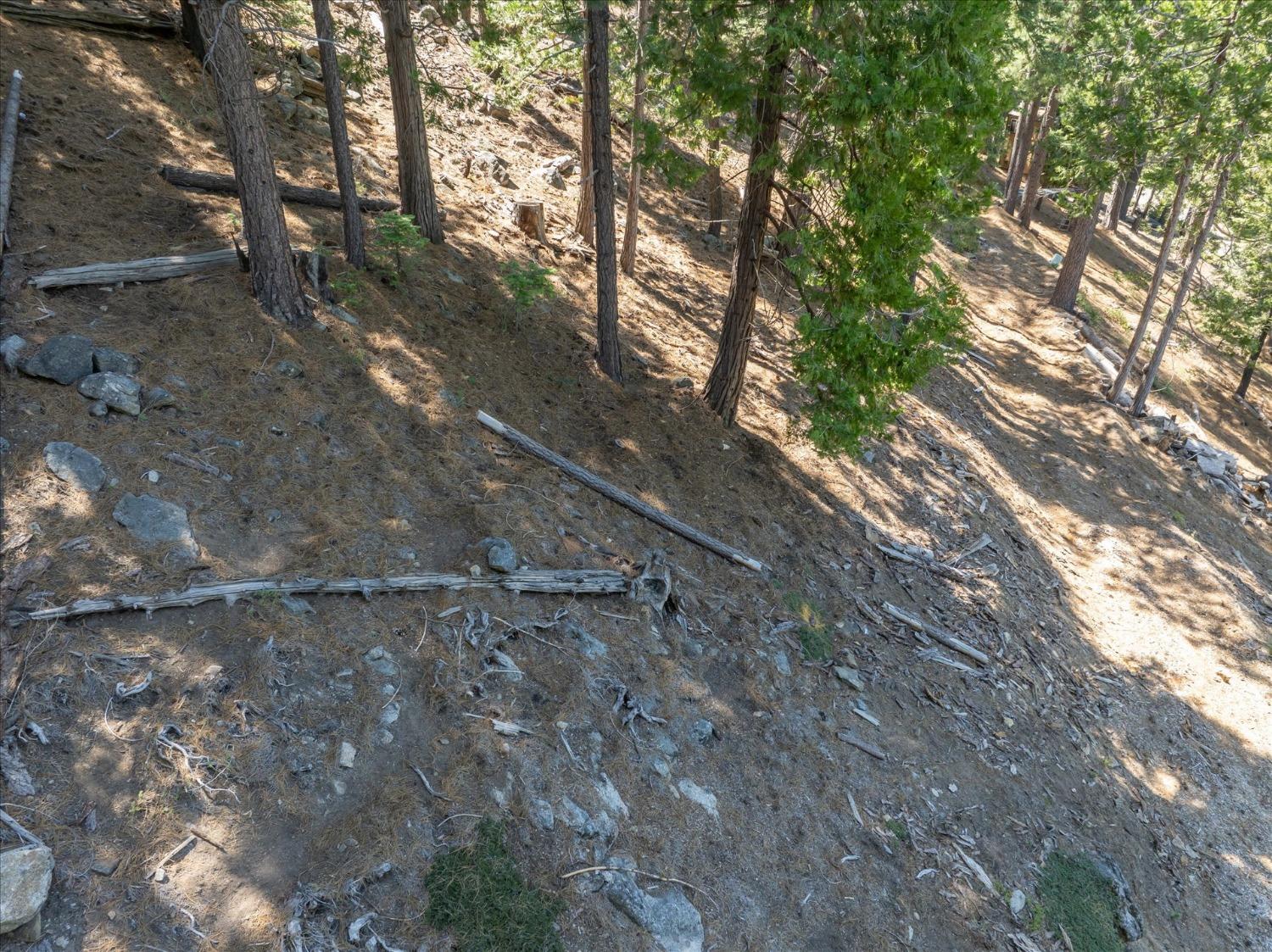 7477 Yosemite Park Way, Yosemite West, CA 95389