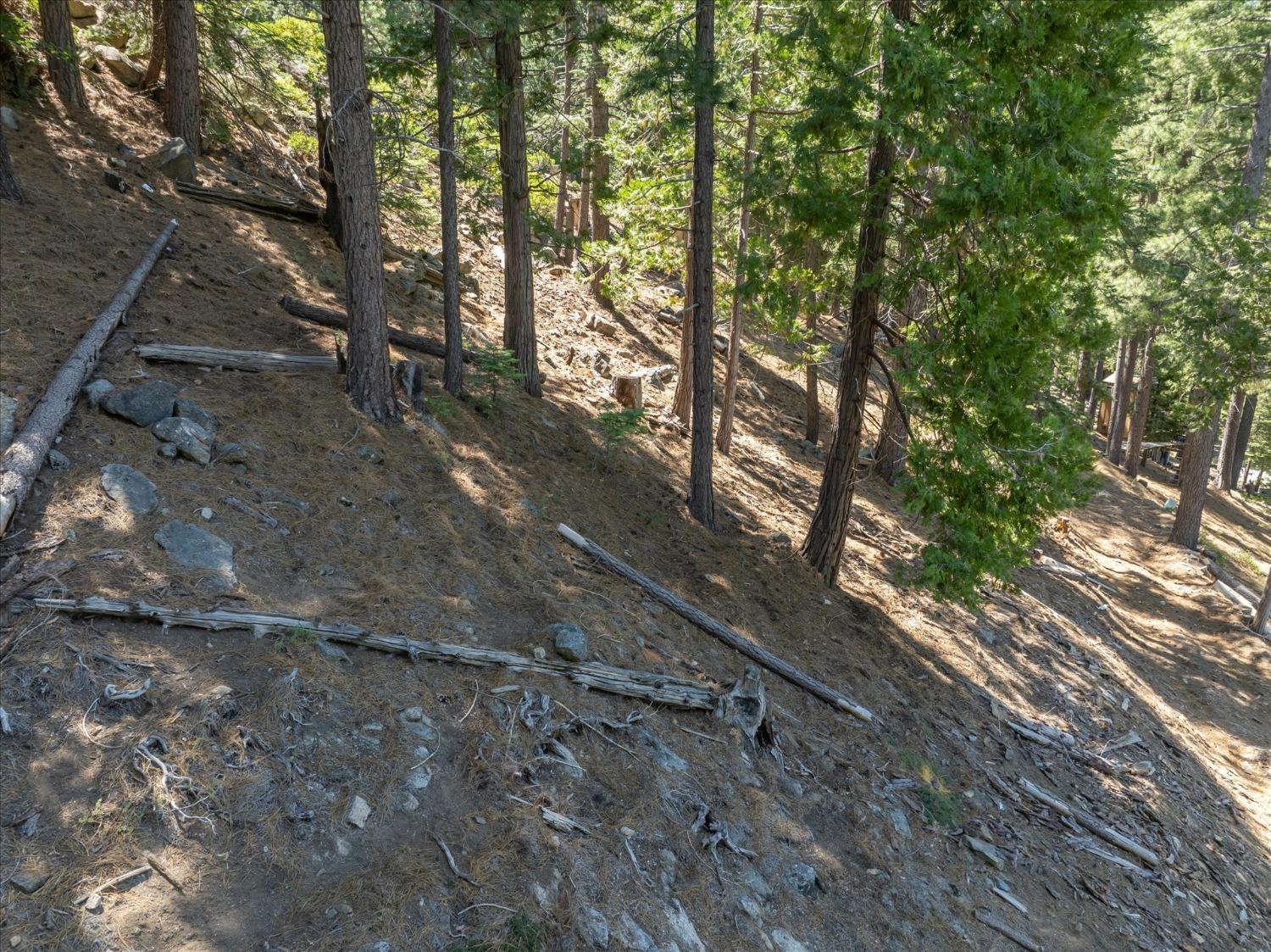 7477 Yosemite Park Way, Yosemite West, CA 95389