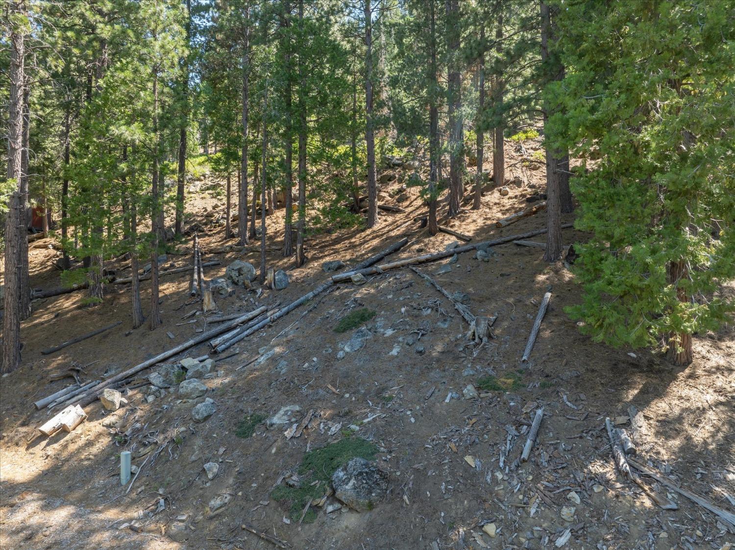 7477 Yosemite Park Way, Yosemite West, CA 95389