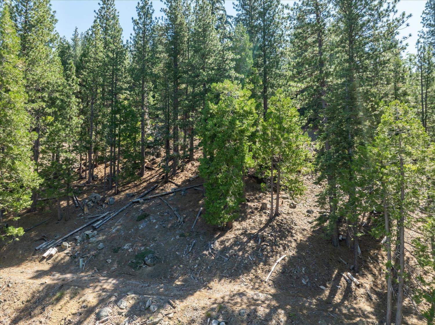7477 Yosemite Park Way, Yosemite West, CA 95389