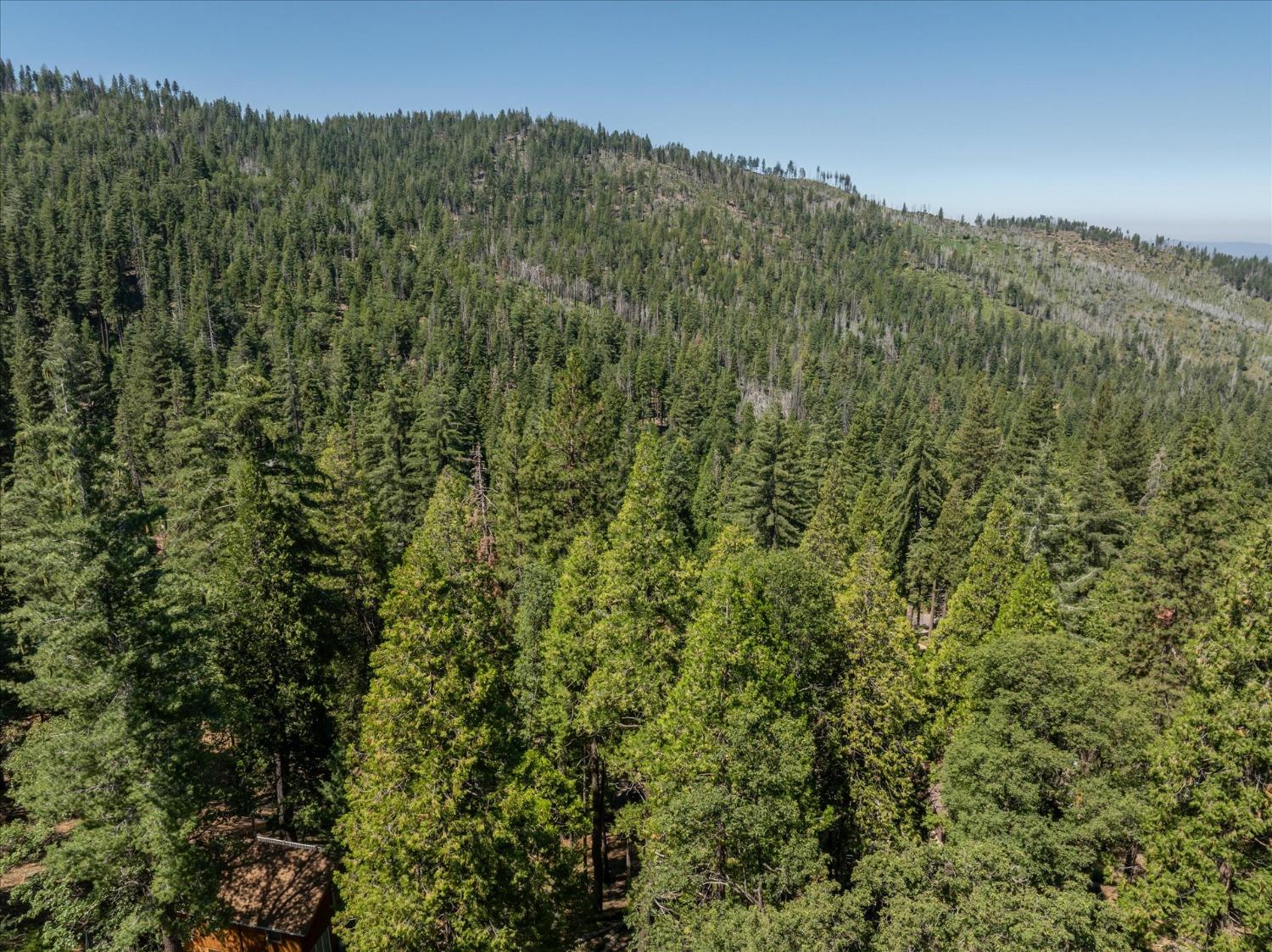 7477 Yosemite Park Way, Yosemite West, CA 95389