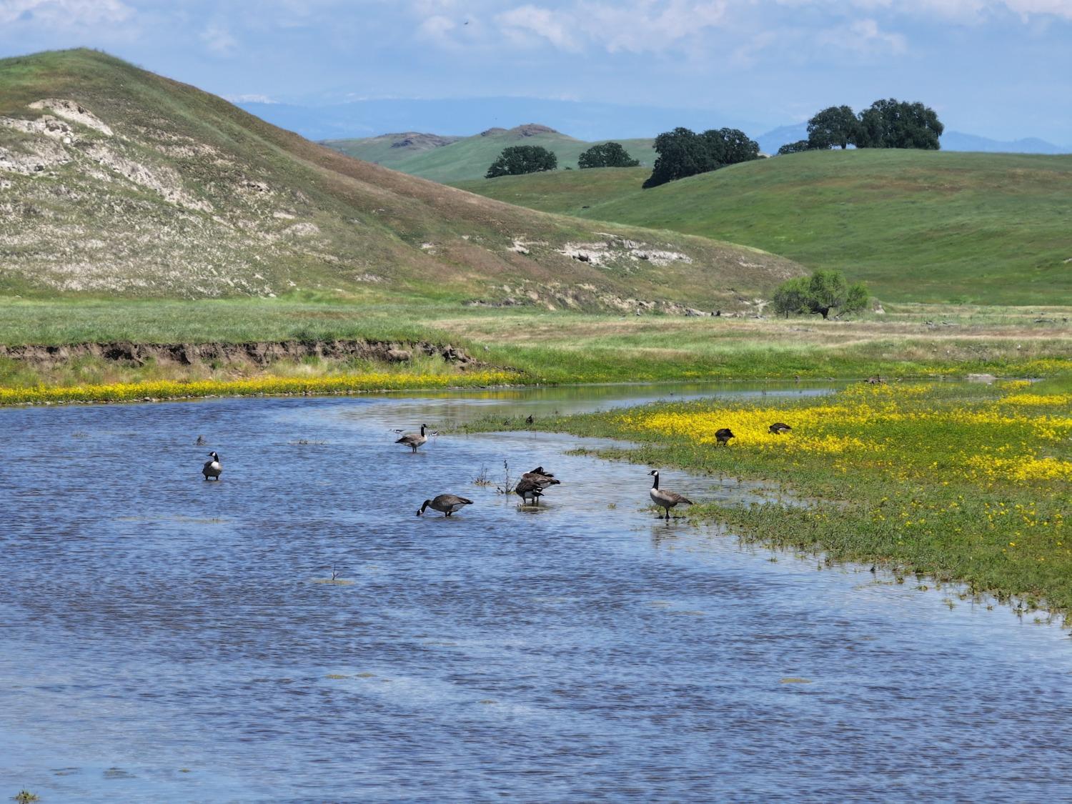 0 0 Friant, Fresno, CA 93619