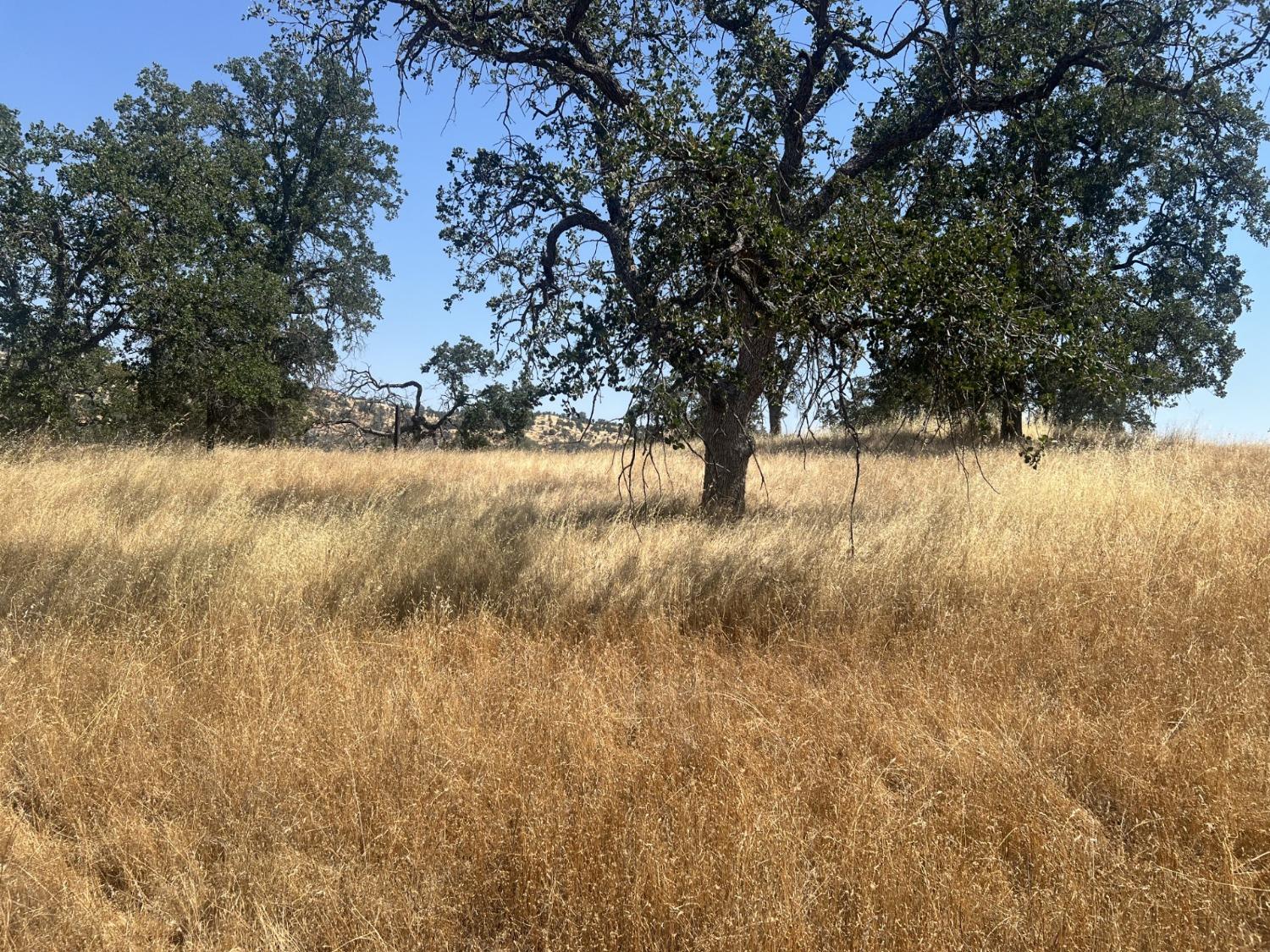 0 2.97AC Big Rock Ct., Coarsegold, CA 93614