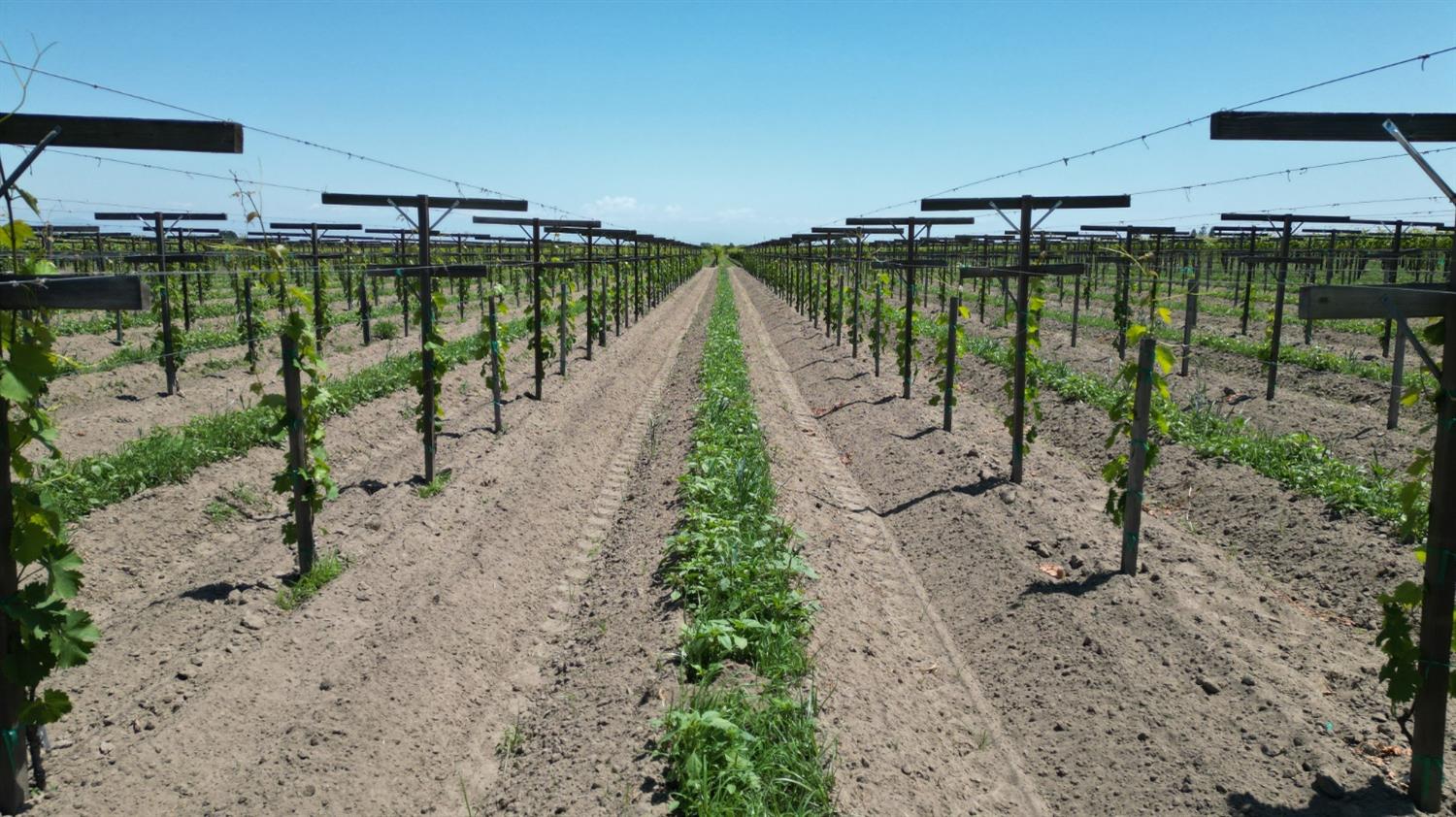 11250 E Dinuba Ave, Selma, CA 93662