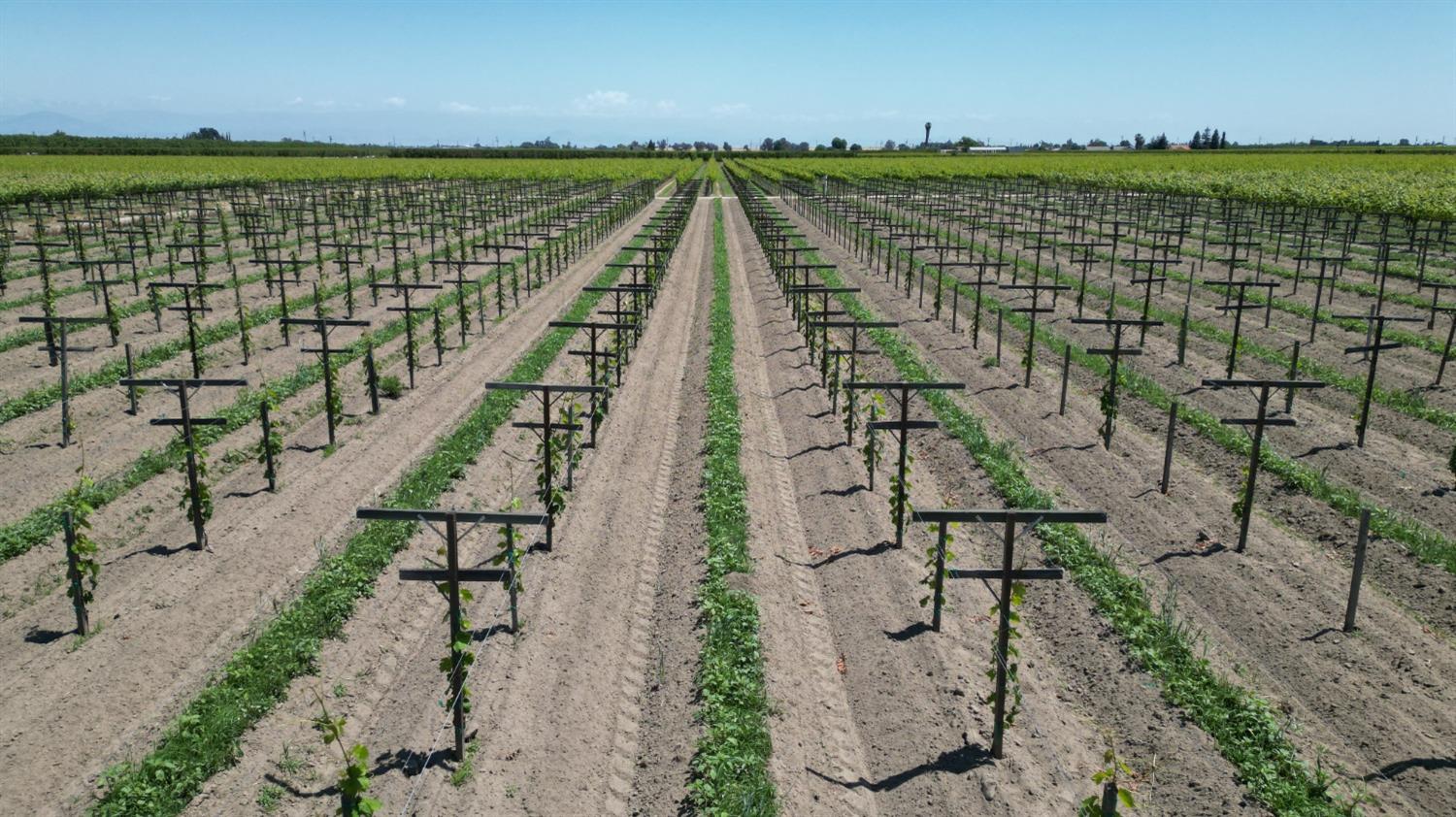 11250 E Dinuba Ave, Selma, CA 93662