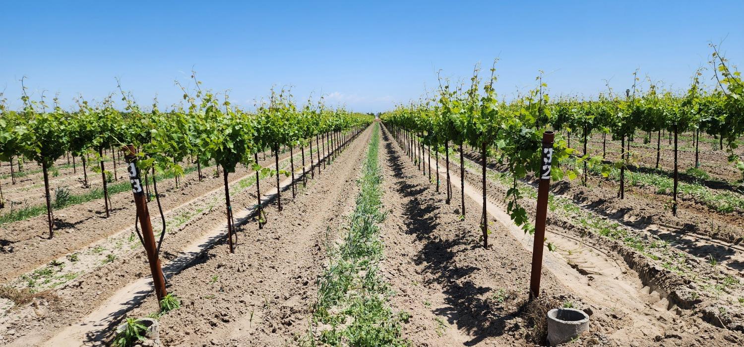 11250 E Dinuba Ave, Selma, CA 93662