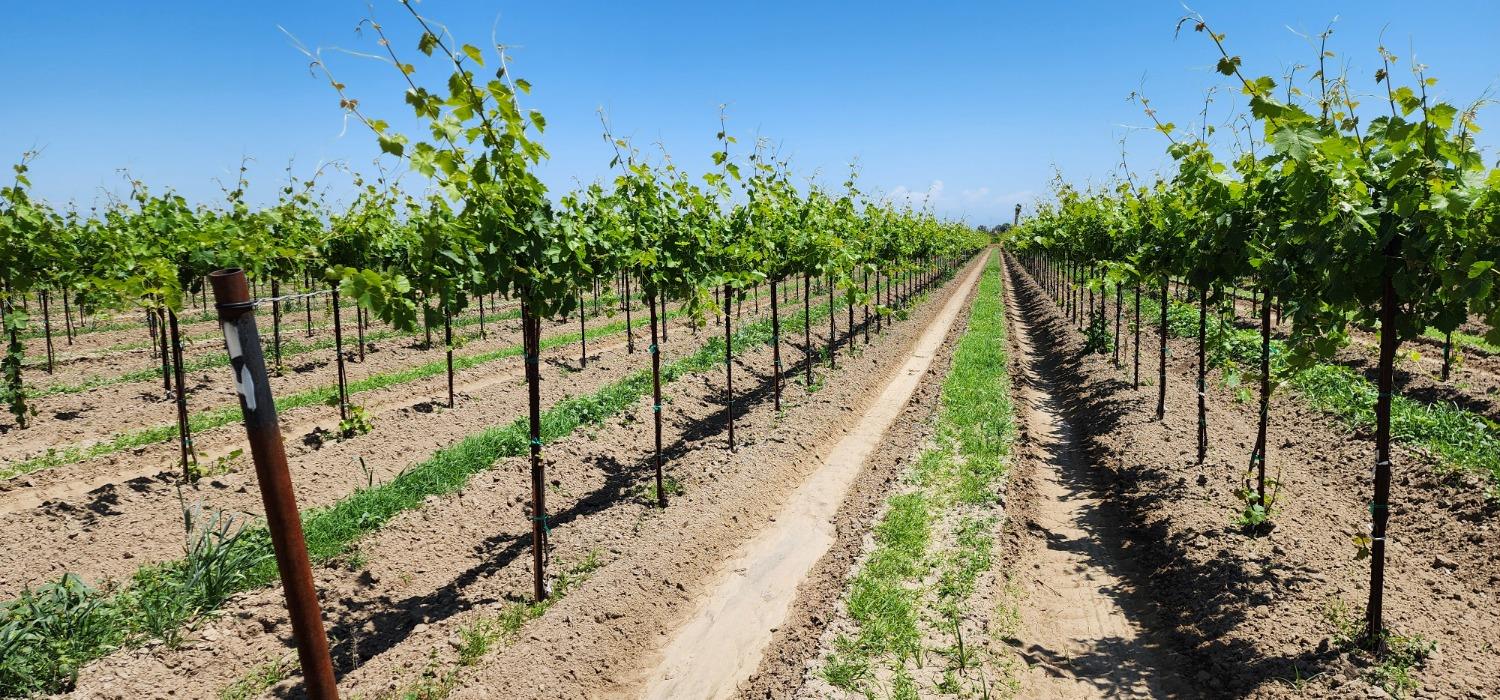 11250 E Dinuba Ave, Selma, CA 93662