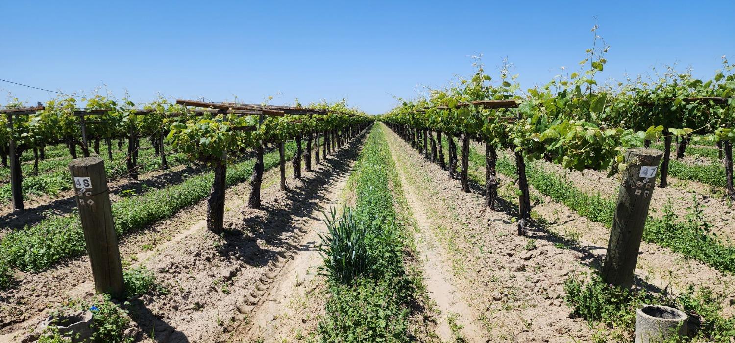 11250 E Dinuba Ave, Selma, CA 93662