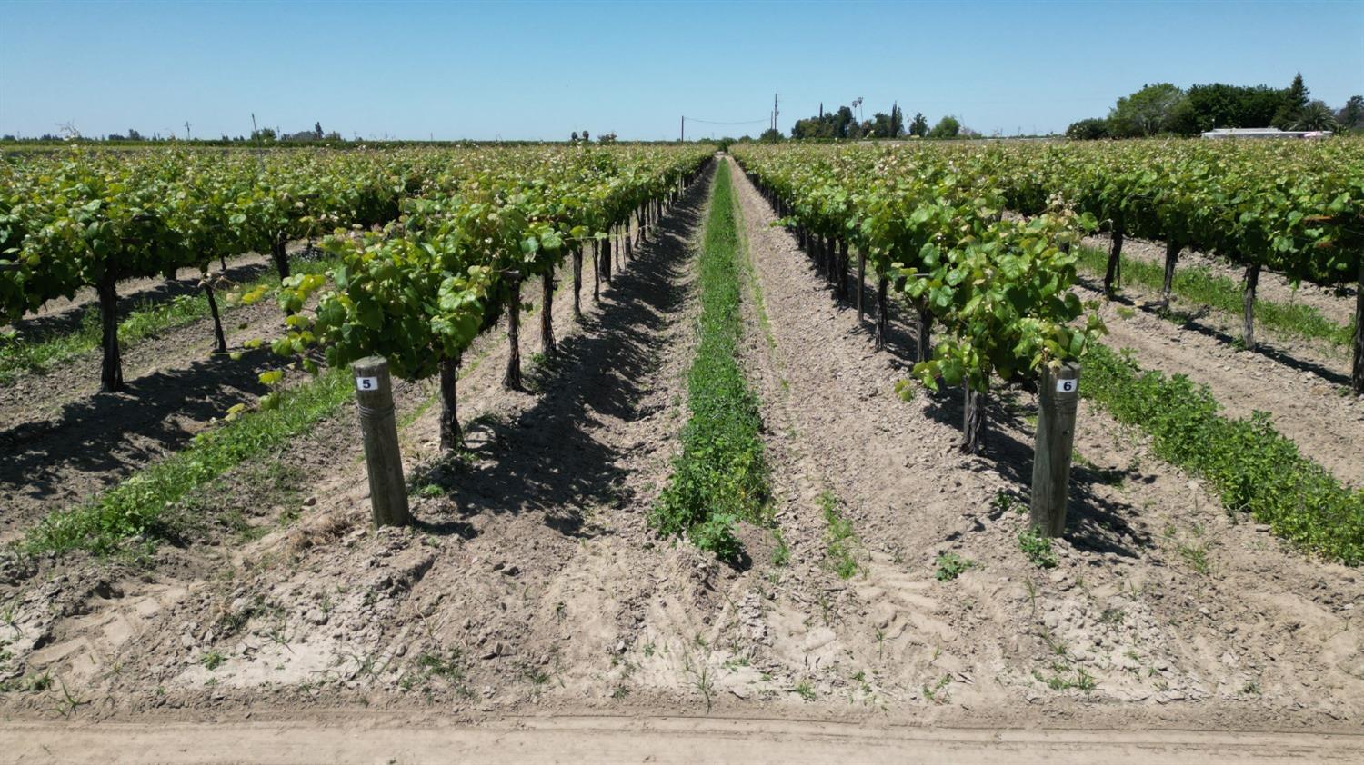 11250 E Dinuba Ave, Selma, CA 93662