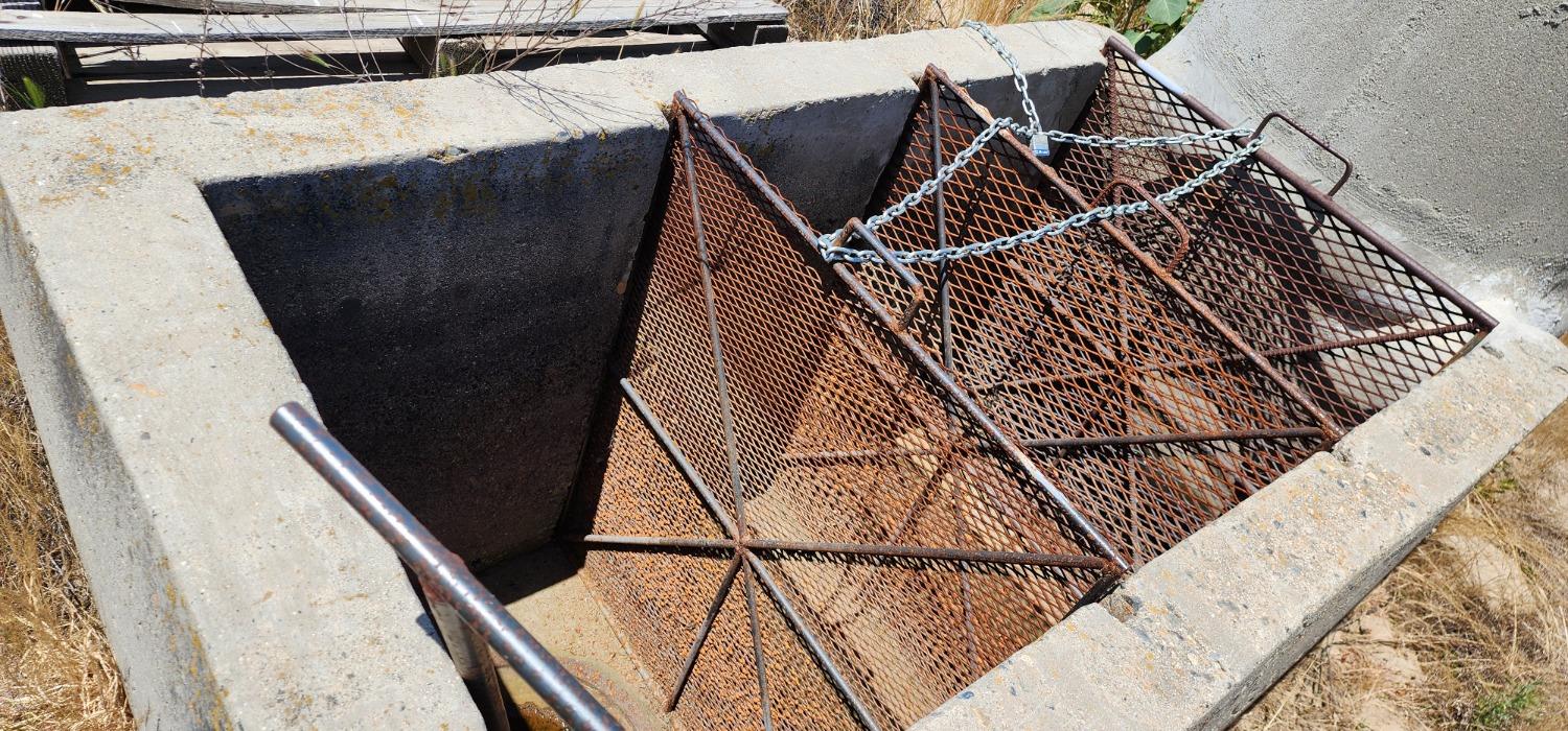 11250 E Dinuba Ave, Selma, CA 93662