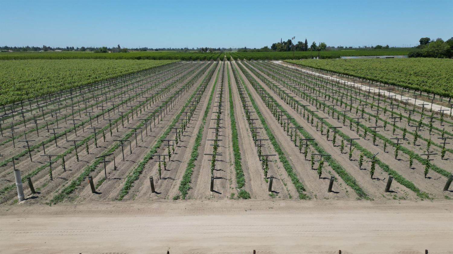 11250 E Dinuba Ave, Selma, CA 93662