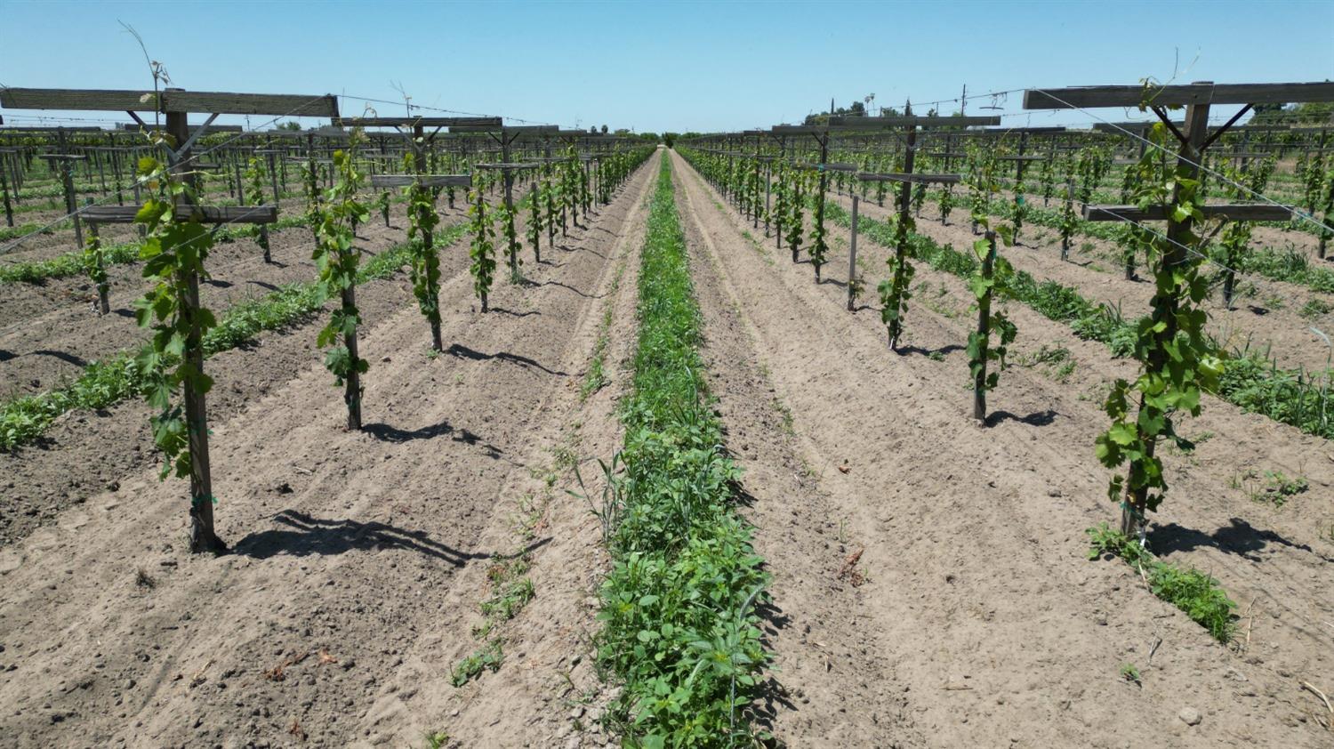 11250 E Dinuba Ave, Selma, CA 93662