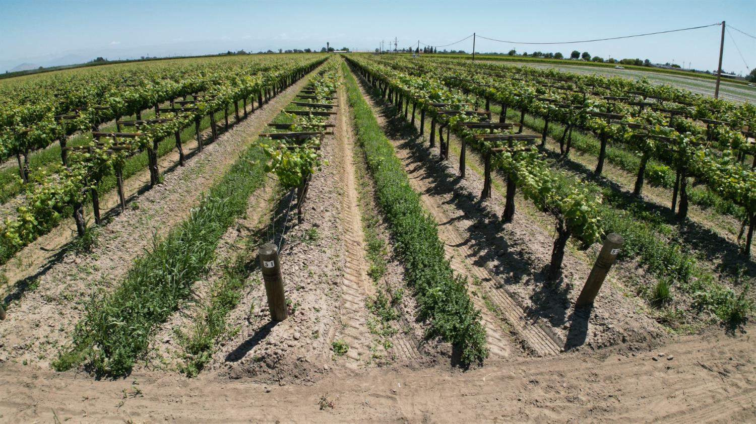 11250 E Dinuba Ave, Selma, CA 93662