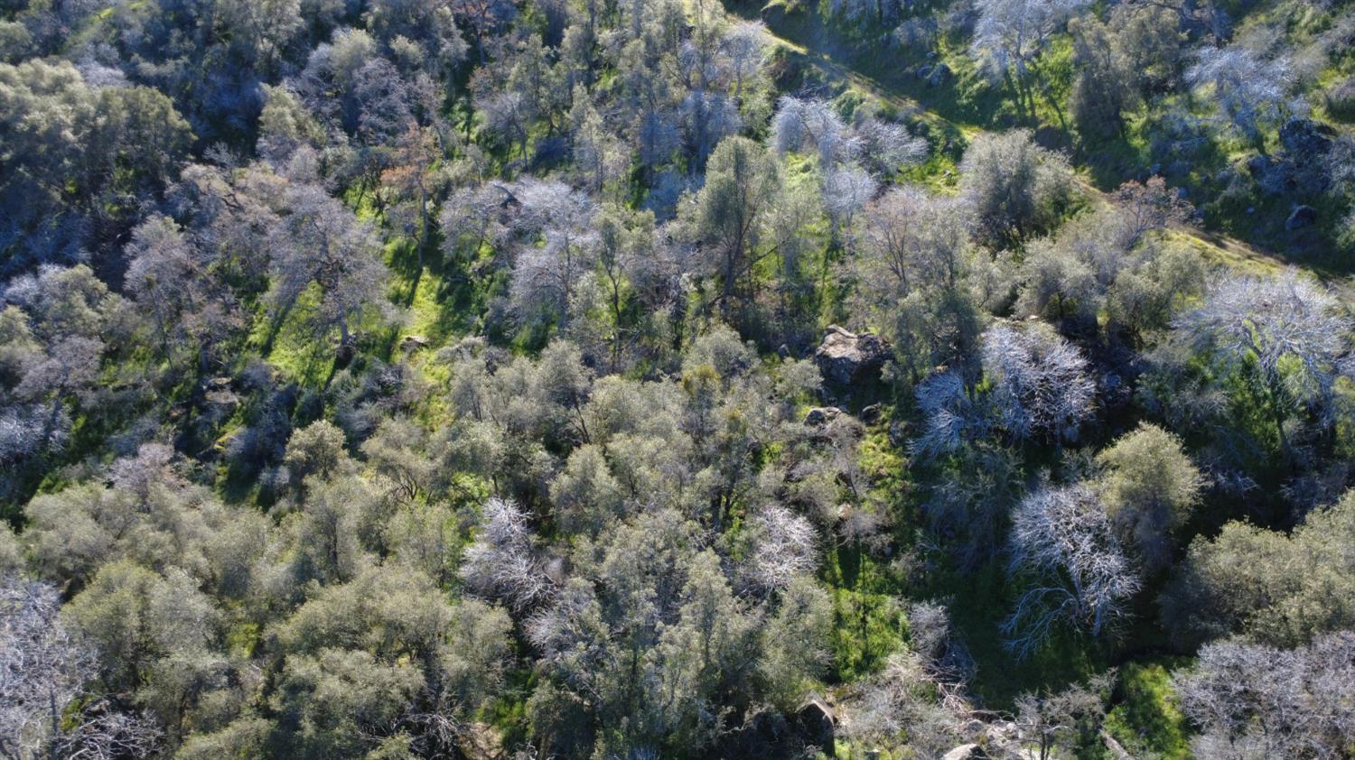 0 0 Ruth Hill Rd, Yokuts Valley, CA 93675