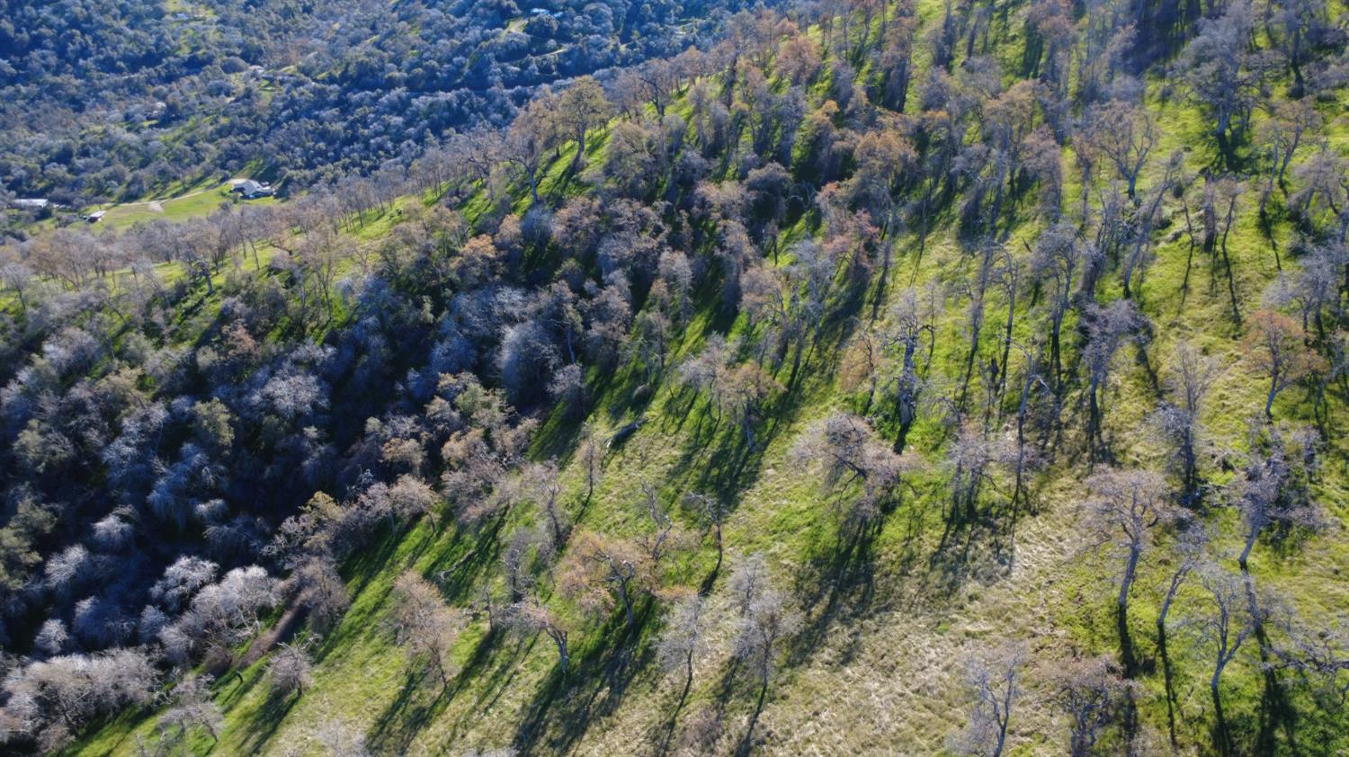 0 0 Ruth Hill Rd, Yokuts Valley, CA 93675