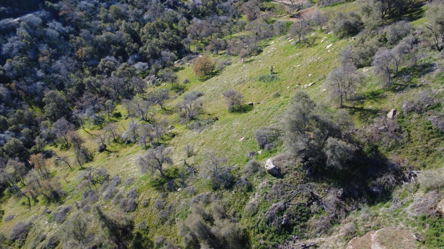 0 0 Ruth Hill Rd, Yokuts Valley, CA 93675