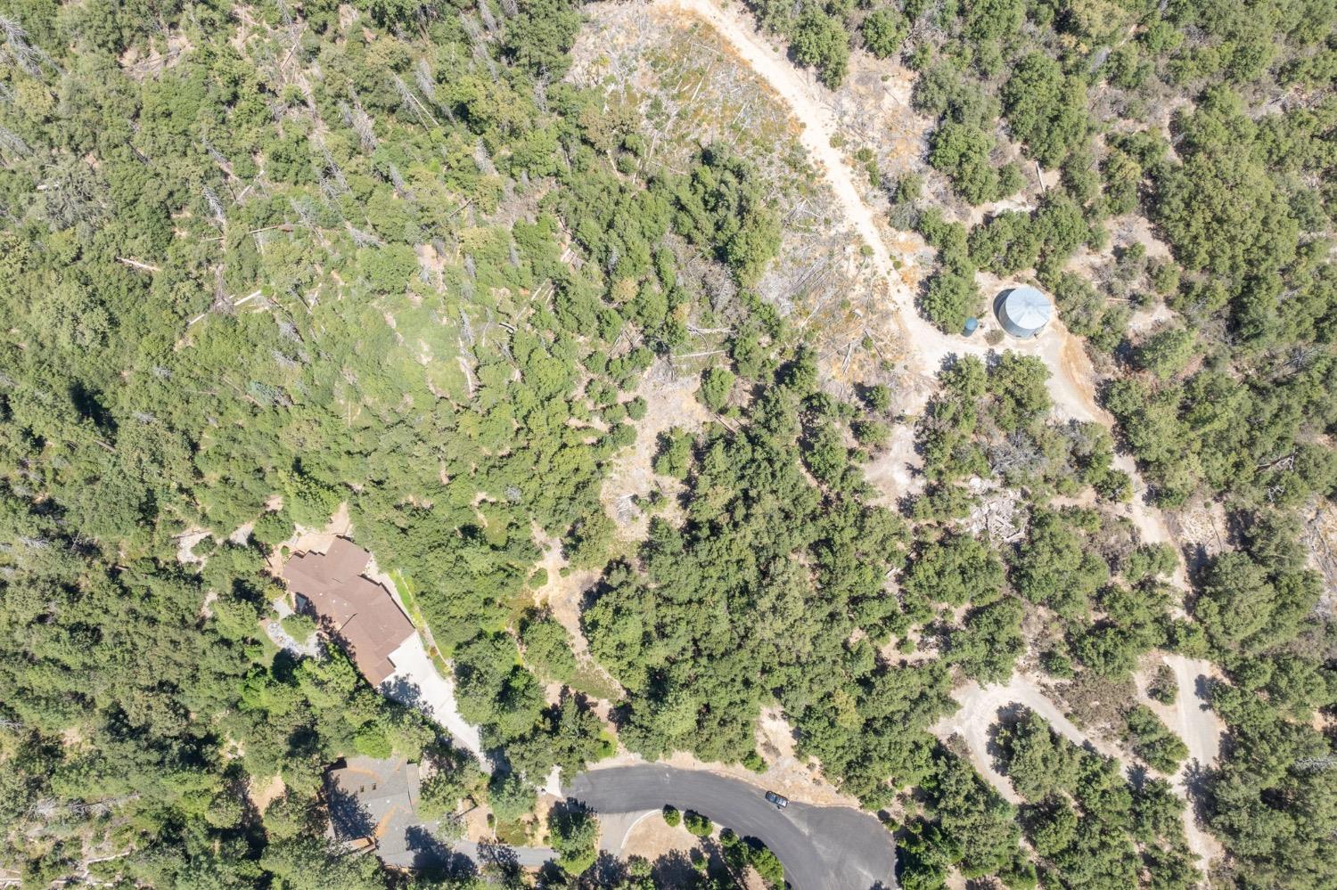 8 N Cedar Vista Circle, Bass Lake, CA 93604