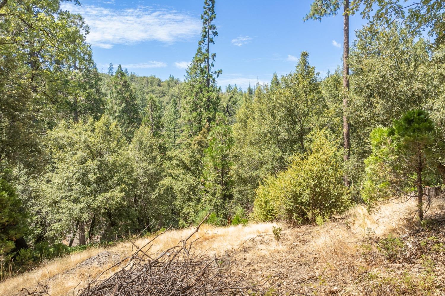 8 N Cedar Vista Circle, Bass Lake, CA 93604