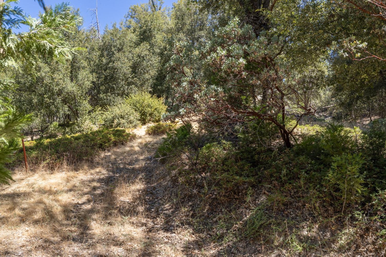 8 N Cedar Vista Circle, Bass Lake, CA 93604