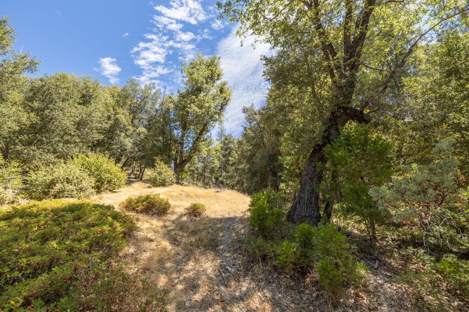 8 N Cedar Vista Circle, Bass Lake, CA 93604