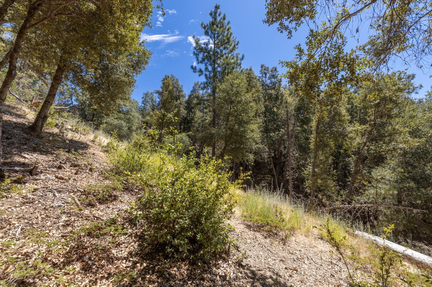 8 N Cedar Vista Circle, Bass Lake, CA 93604