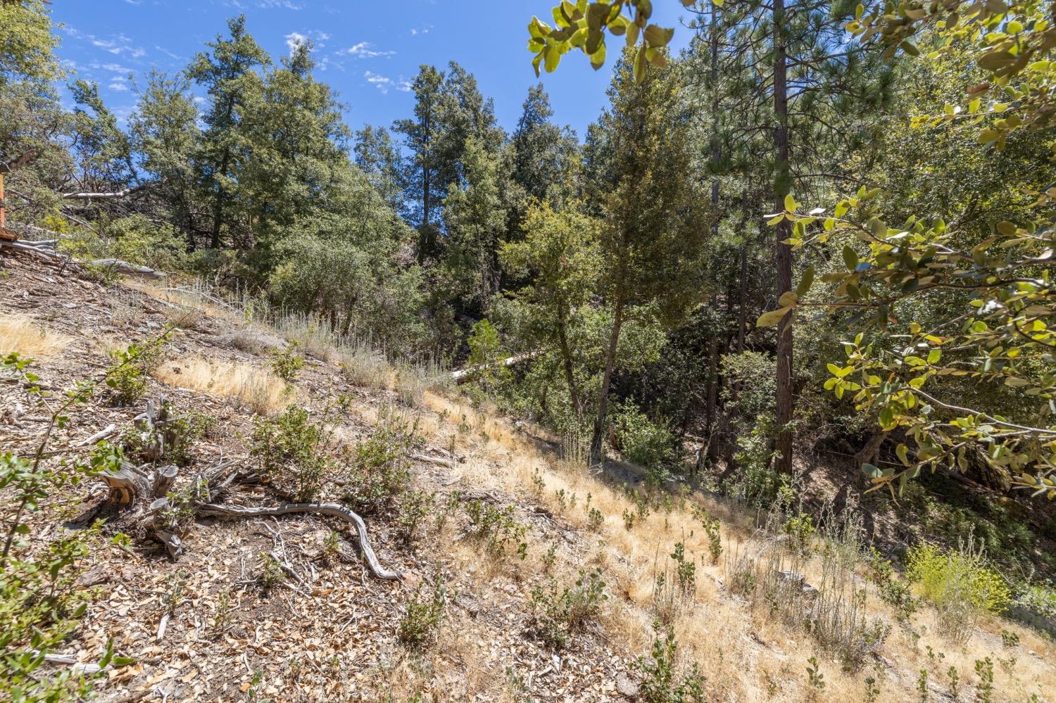 8 N Cedar Vista Circle, Bass Lake, CA 93604