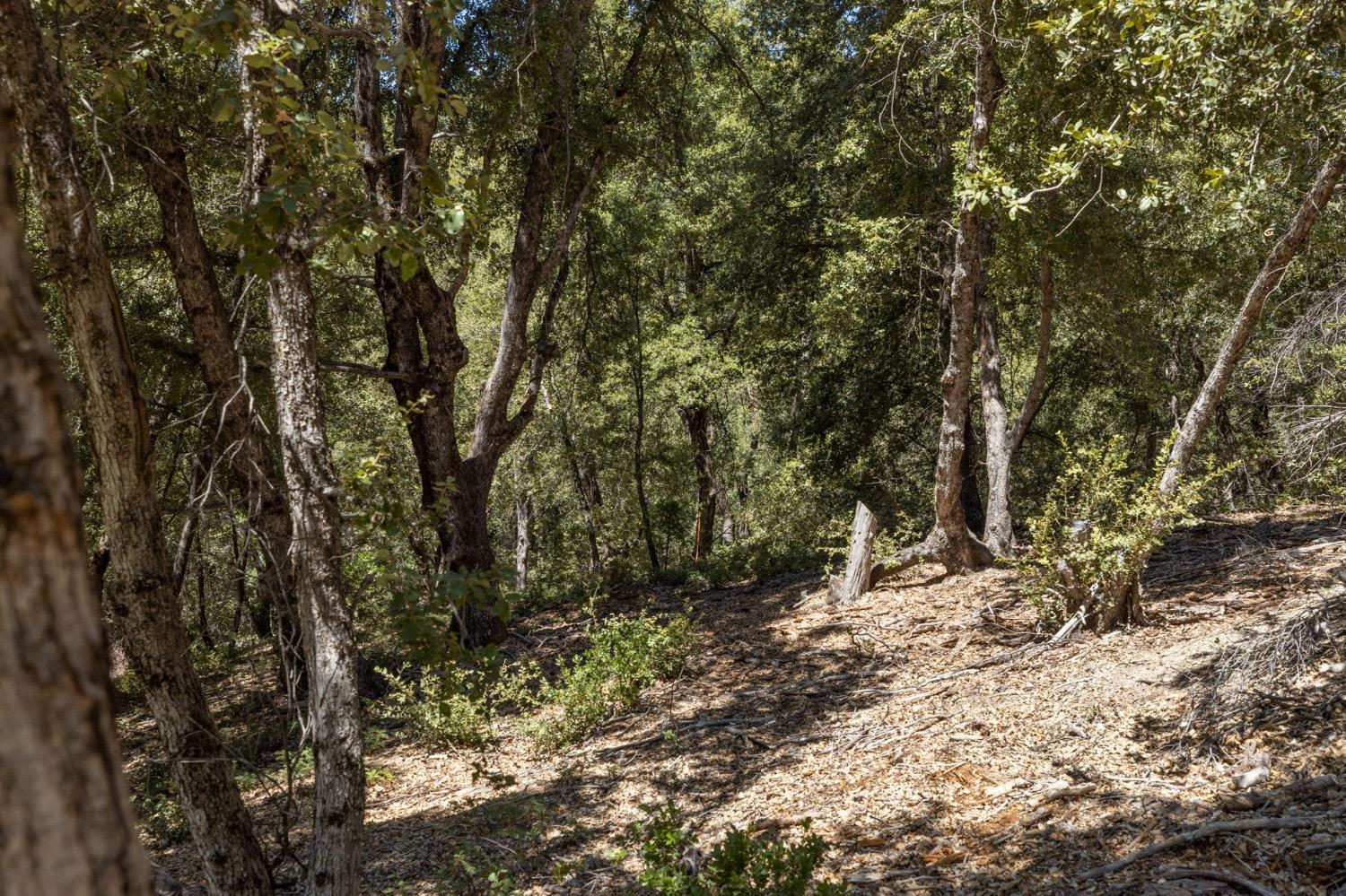 8 N Cedar Vista Circle, Bass Lake, CA 93604