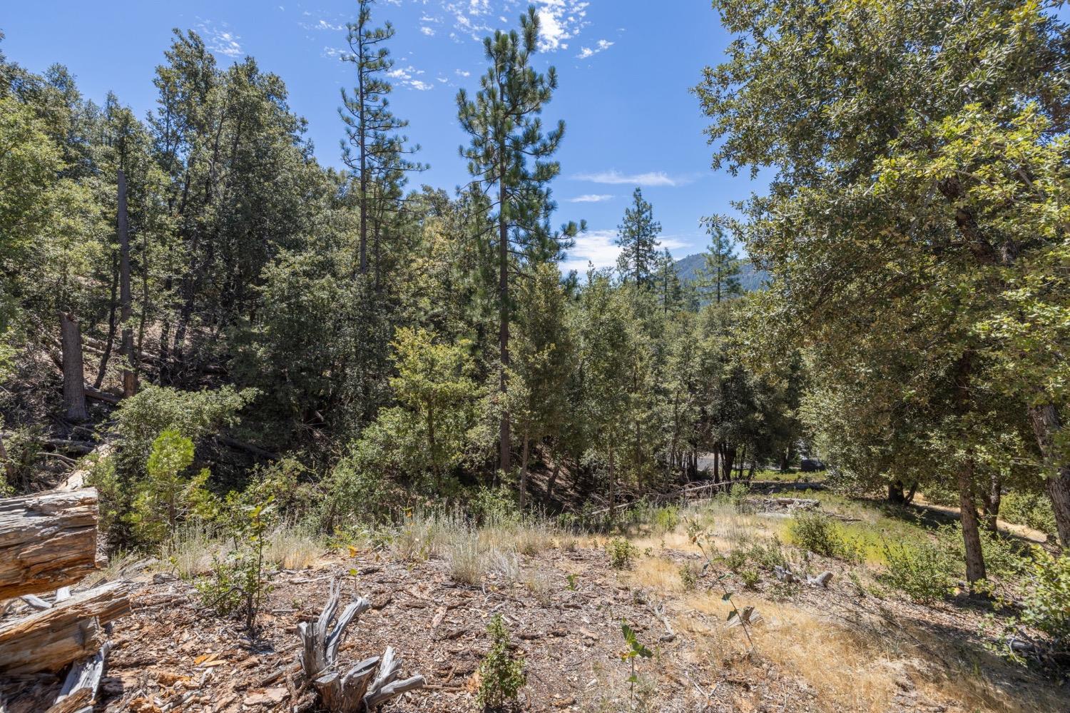 8 N Cedar Vista Circle, Bass Lake, CA 93604