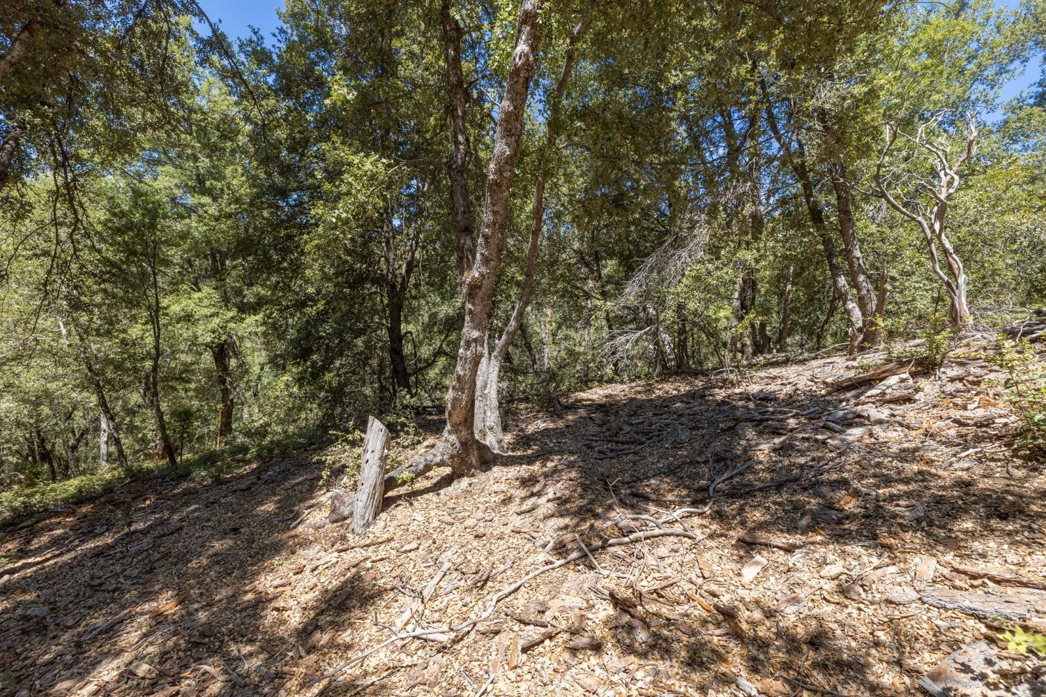 8 N Cedar Vista Circle, Bass Lake, CA 93604