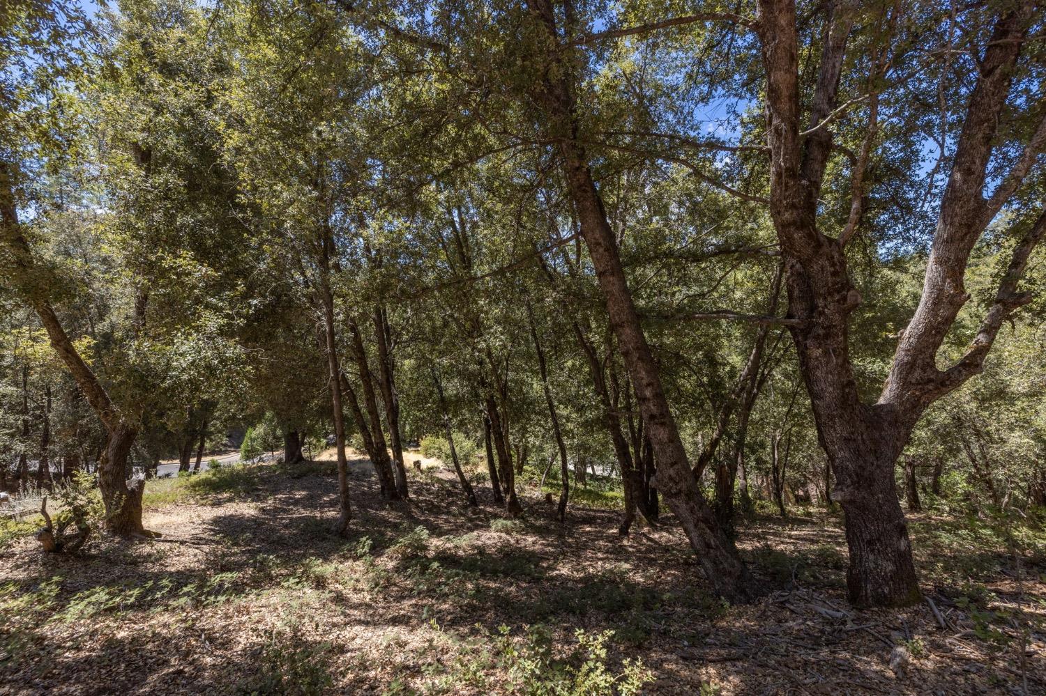 8 N Cedar Vista Circle, Bass Lake, CA 93604