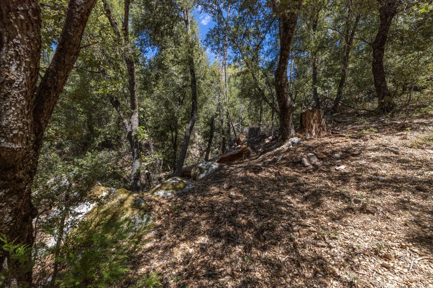 8 N Cedar Vista Circle, Bass Lake, CA 93604