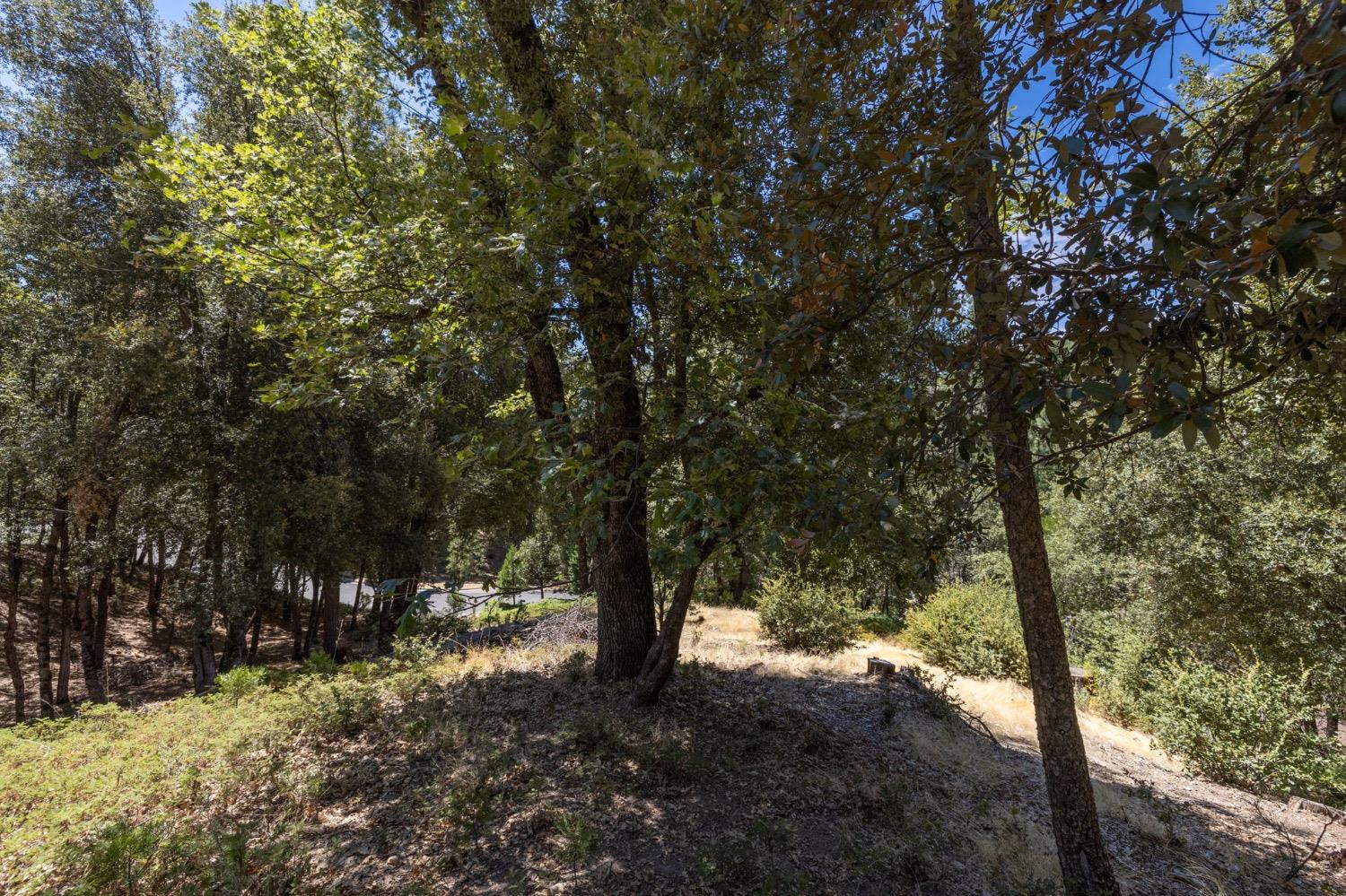 8 N Cedar Vista Circle, Bass Lake, CA 93604