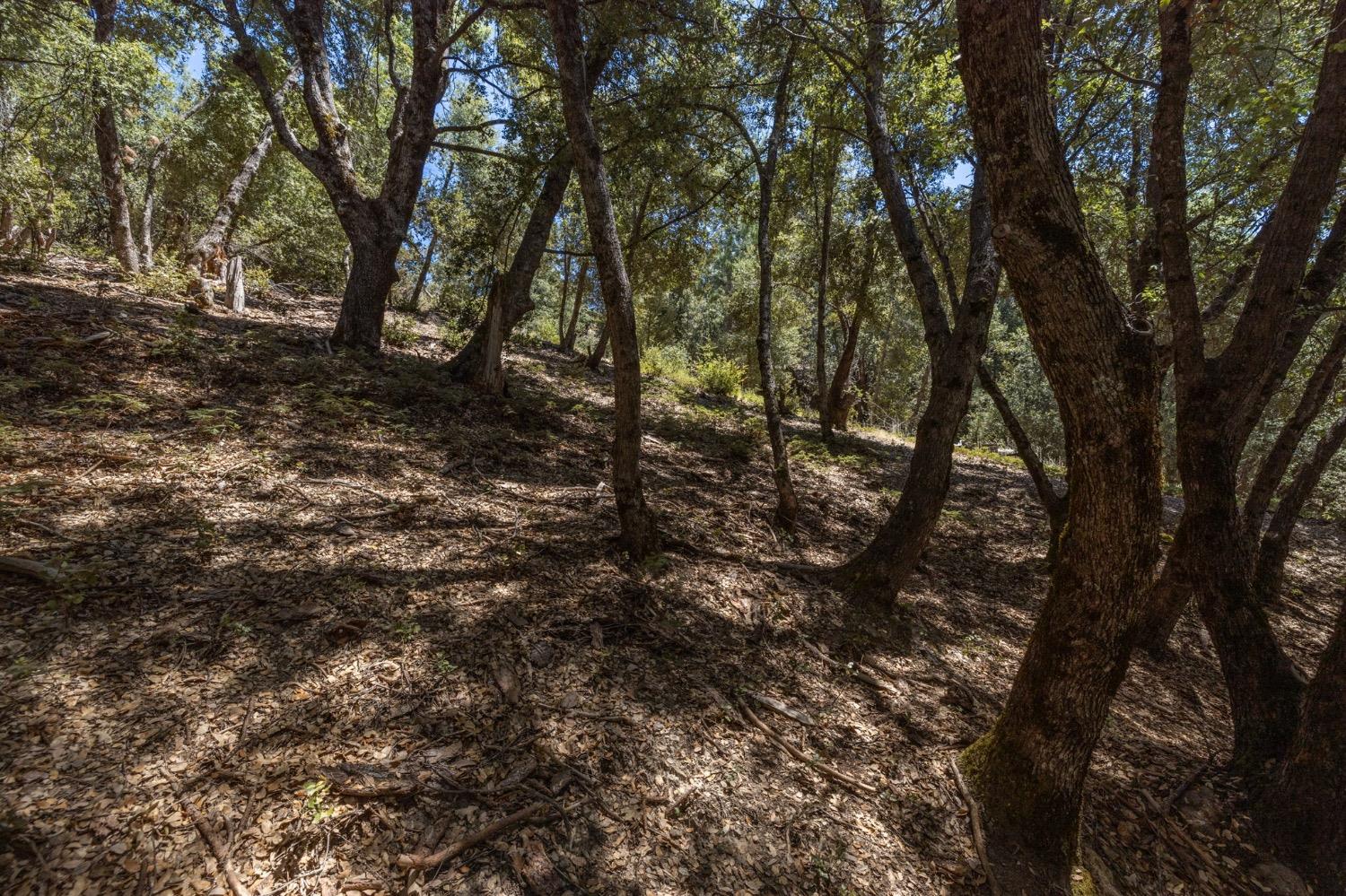 8 N Cedar Vista Circle, Bass Lake, CA 93604