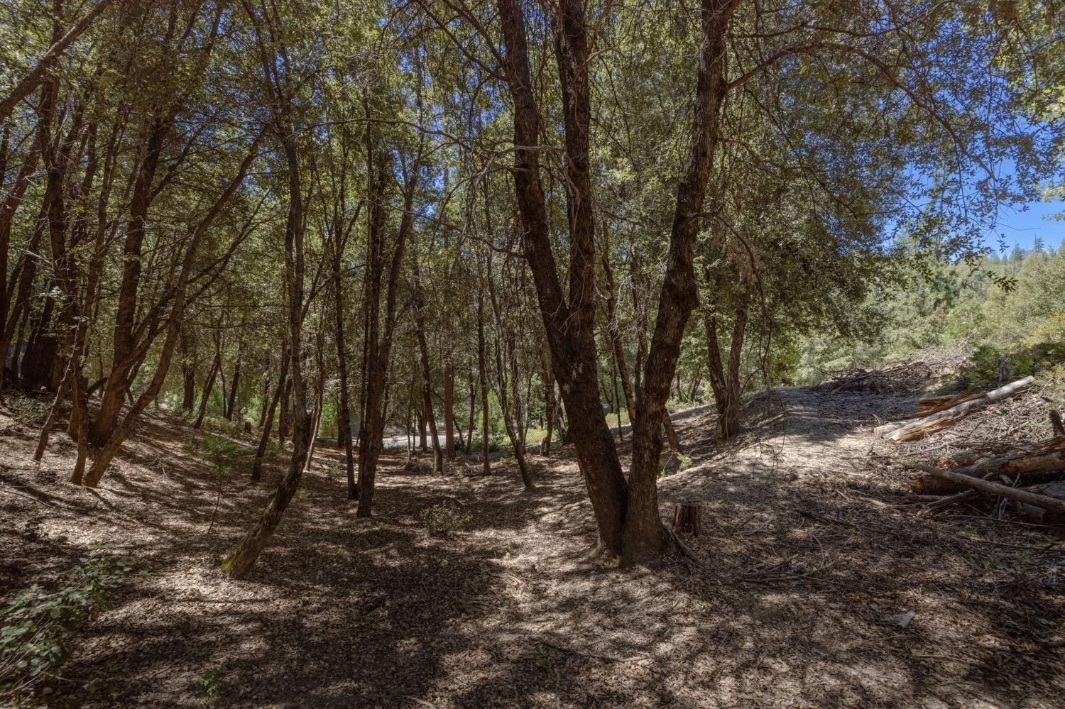 8 N Cedar Vista Circle, Bass Lake, CA 93604