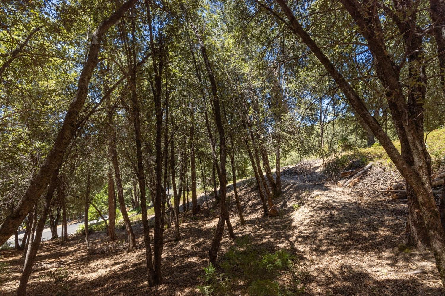 8 N Cedar Vista Circle, Bass Lake, CA 93604