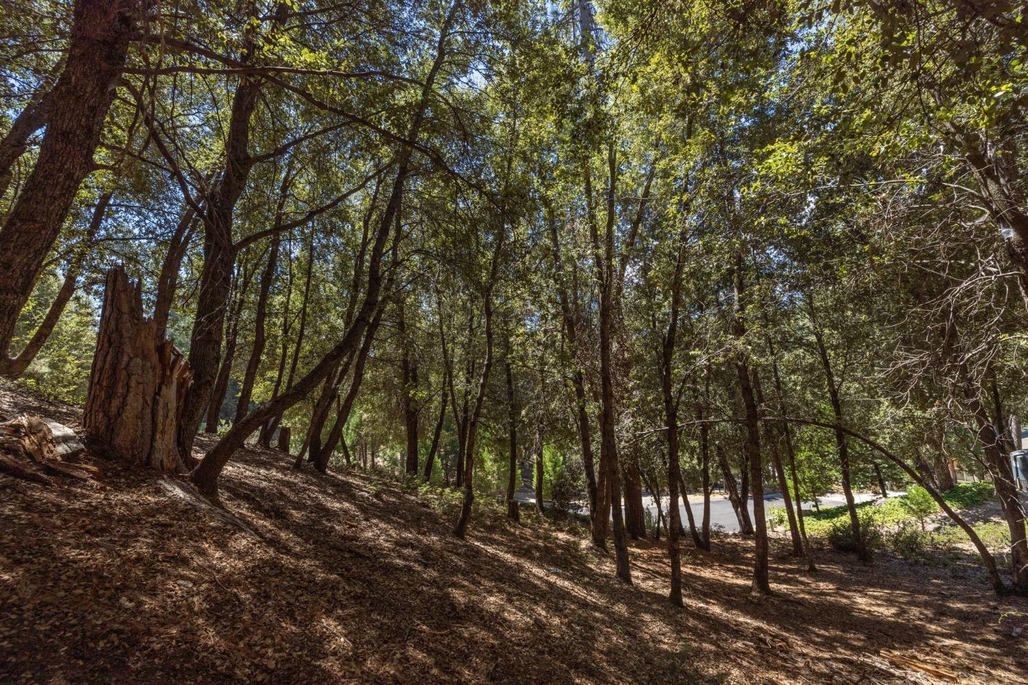 8 N Cedar Vista Circle, Bass Lake, CA 93604