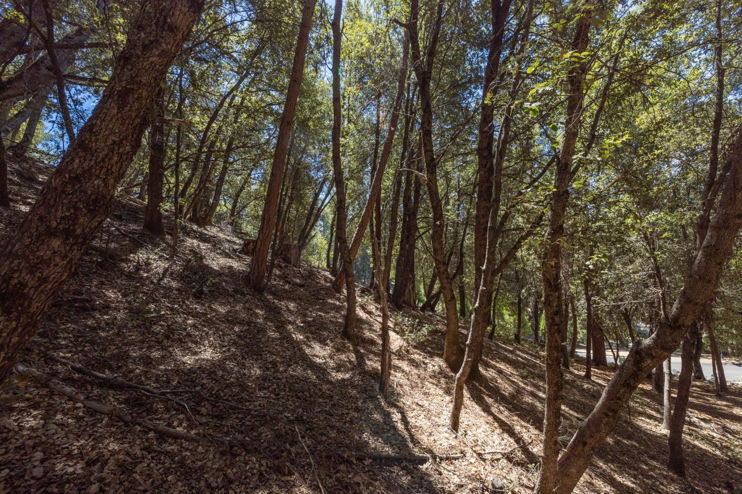 8 N Cedar Vista Circle, Bass Lake, CA 93604