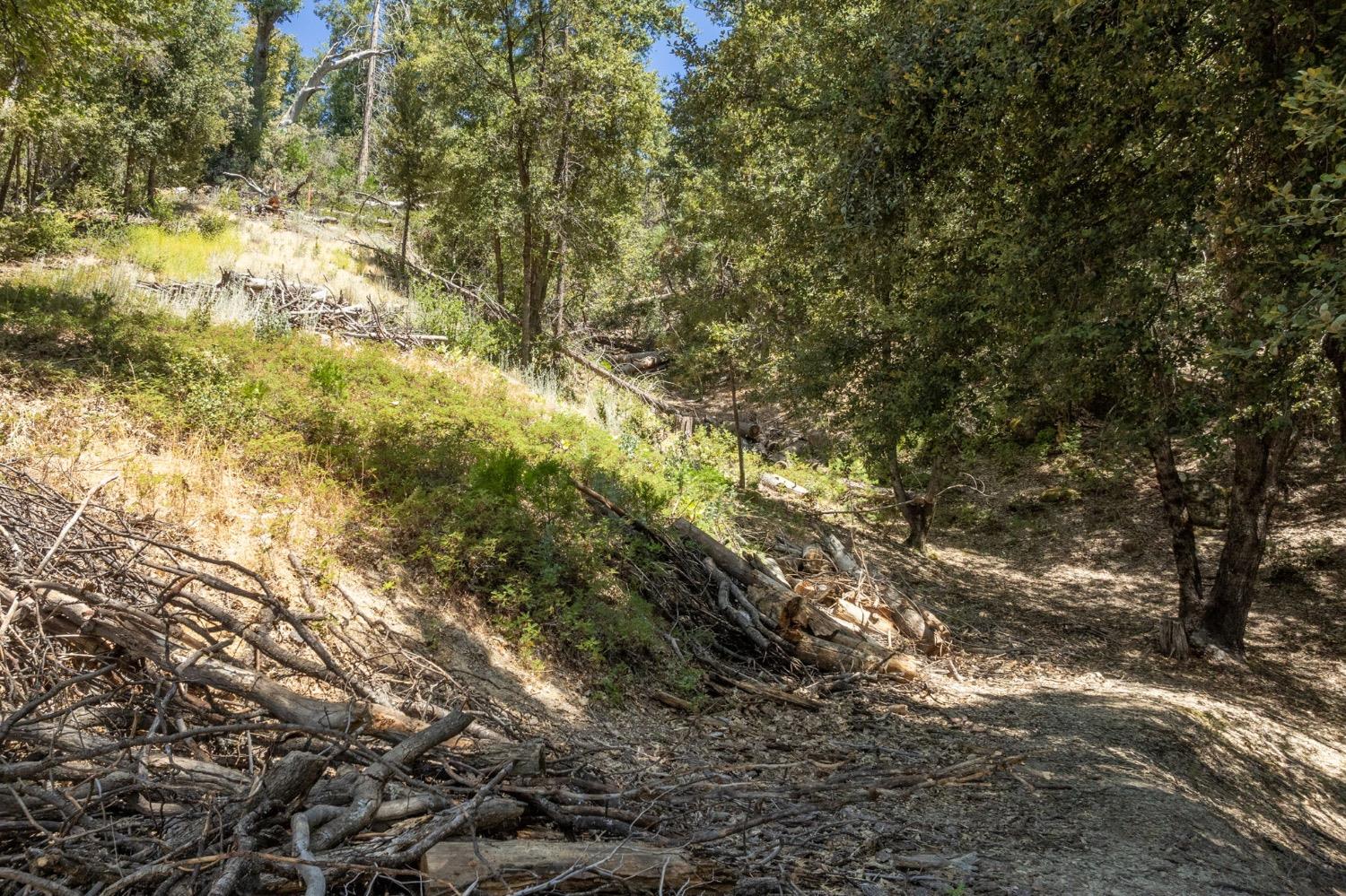 8 N Cedar Vista Circle, Bass Lake, CA 93604