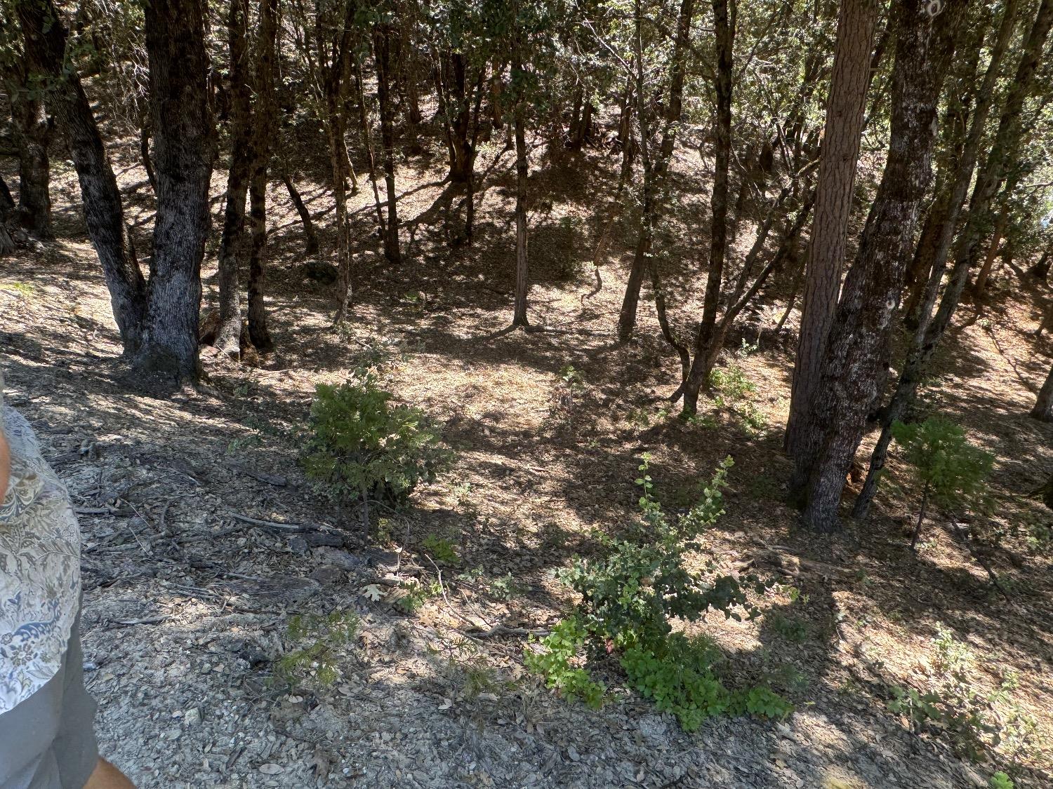 8 N Cedar Vista Circle, Bass Lake, CA 93604