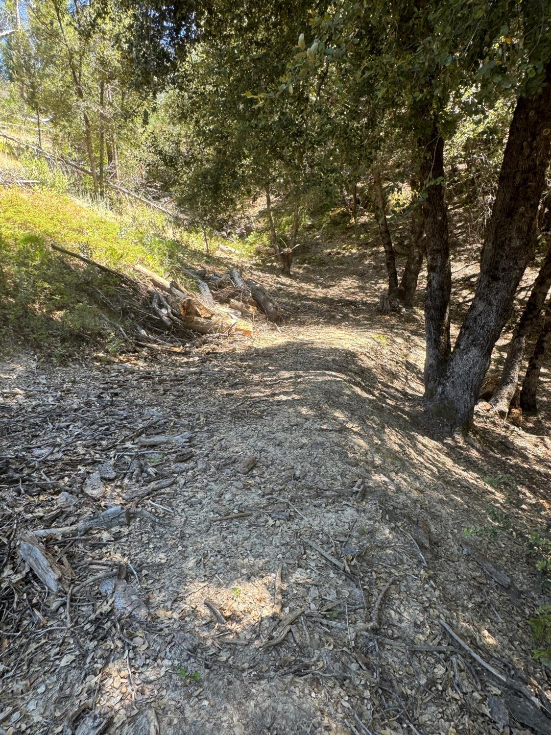 8 N Cedar Vista Circle, Bass Lake, CA 93604