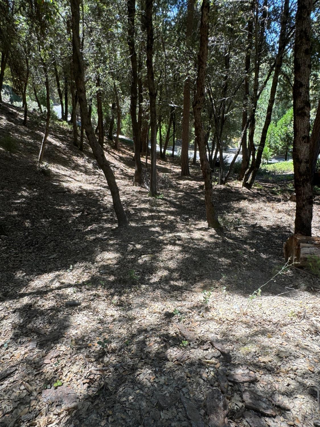 8 N Cedar Vista Circle, Bass Lake, CA 93604