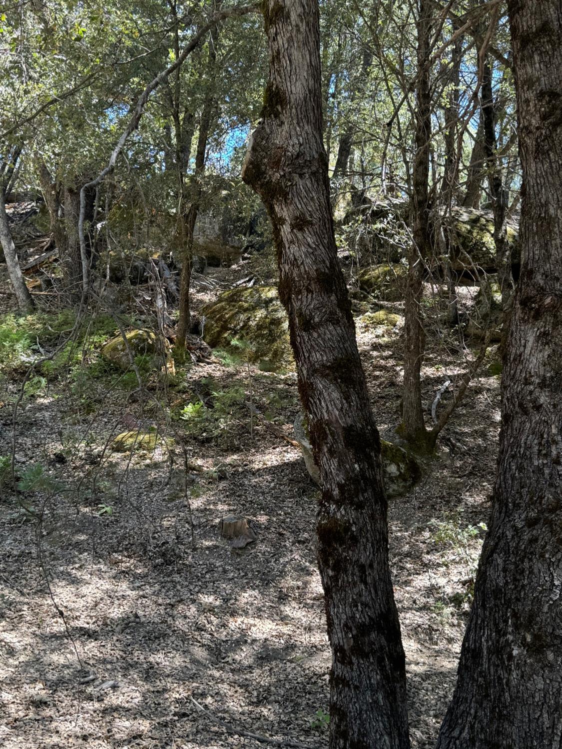 8 N Cedar Vista Circle, Bass Lake, CA 93604