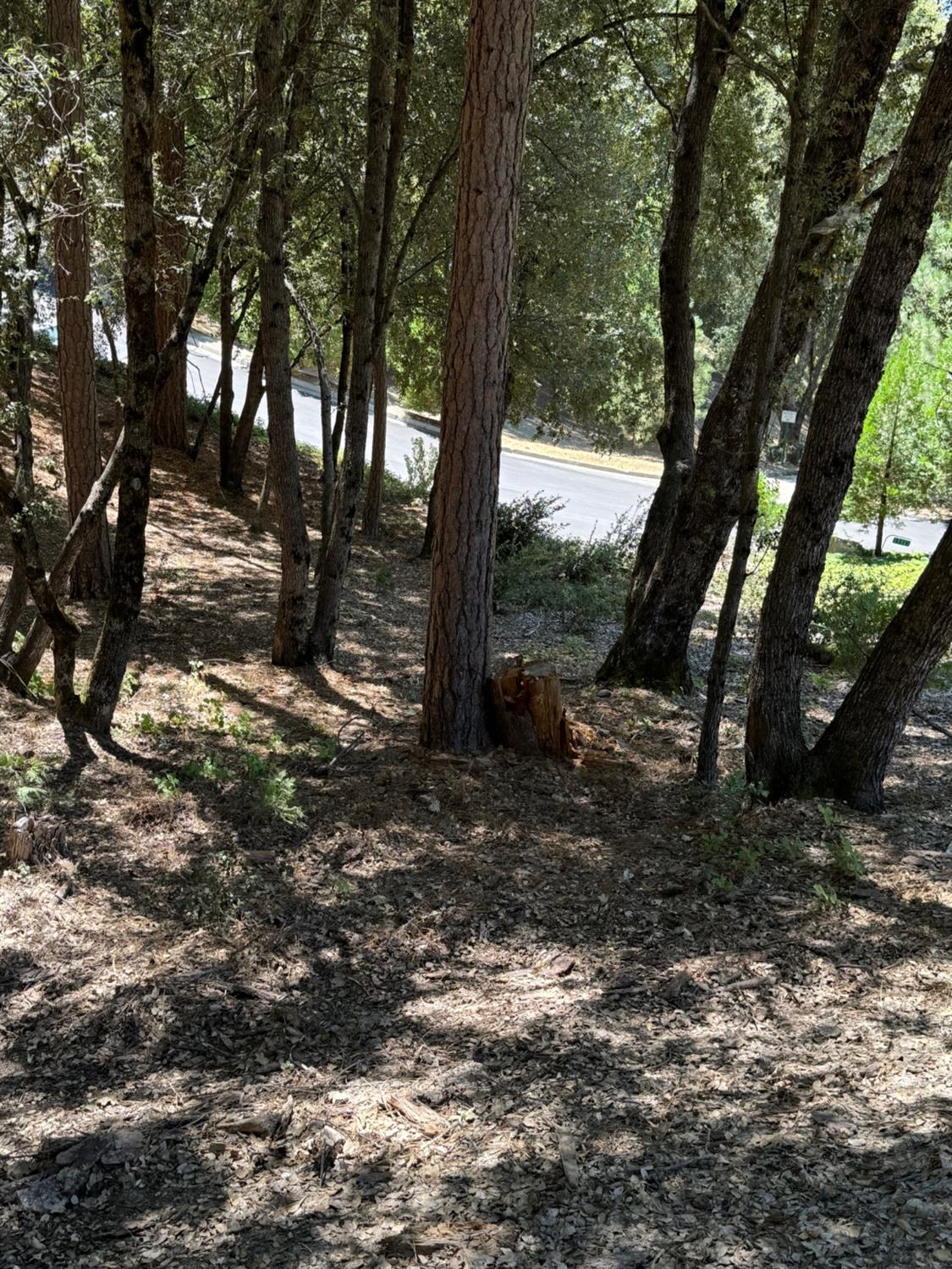 8 N Cedar Vista Circle, Bass Lake, CA 93604