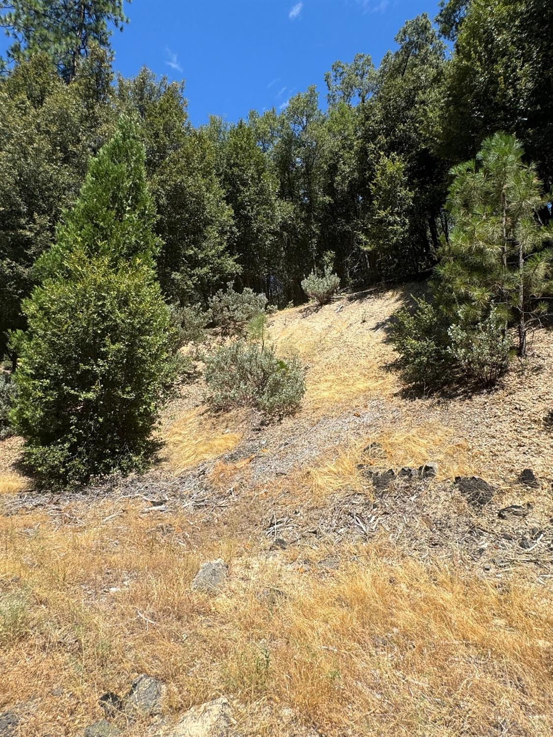 8 N Cedar Vista Circle, Bass Lake, CA 93604