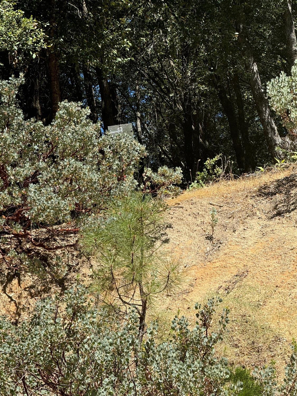 8 N Cedar Vista Circle, Bass Lake, CA 93604