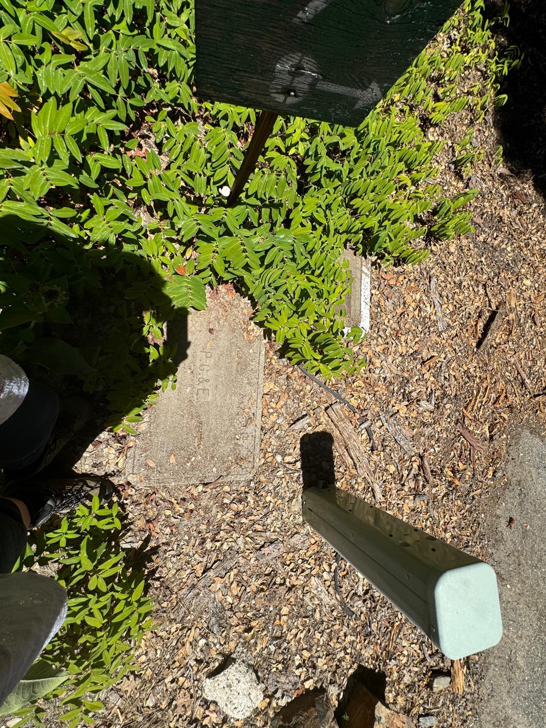 8 N Cedar Vista Circle, Bass Lake, CA 93604